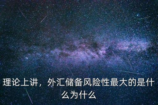 理論上講，外匯儲備風(fēng)險(xiǎn)性最大的是什么為什么