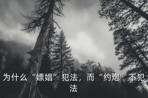 為什么國外嫖娼不違法,嫖娼為什么犯法