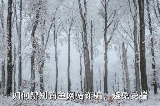 如何辨別釣魚網(wǎng)站詐騙，避免受騙