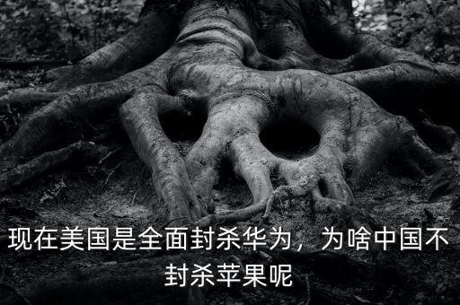 現(xiàn)在美國是全面封殺華為，為啥中國不封殺蘋果呢