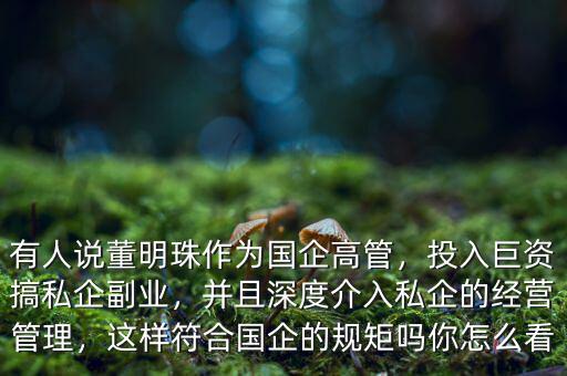 有人說(shuō)董明珠作為國(guó)企高管，投入巨資搞私企副業(yè)，并且深度介入私企的經(jīng)營(yíng)管理，這樣符合國(guó)企的規(guī)矩嗎你怎么看