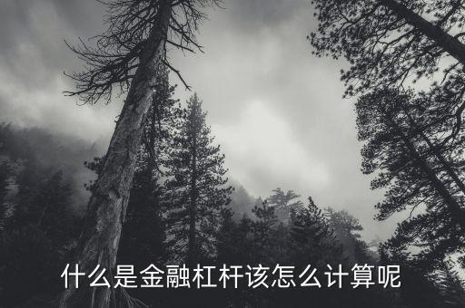 什么是金融杠桿該怎么計(jì)算呢