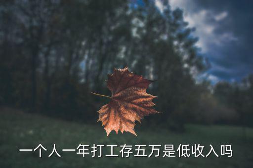 一個(gè)人一年打工存五萬(wàn)是低收入嗎