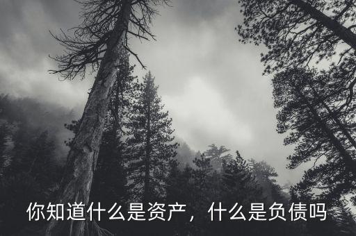 你知道什么是資產(chǎn)，什么是負債嗎