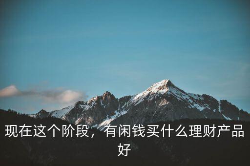 現(xiàn)在這個階段，有閑錢買什么理財(cái)產(chǎn)品好