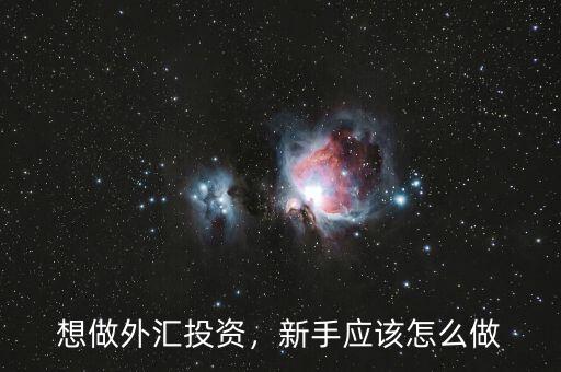 想做外匯投資，新手應(yīng)該怎么做