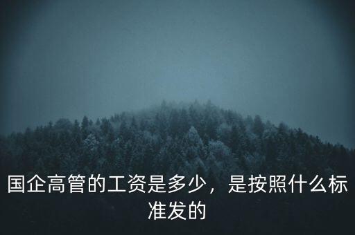 什么算國企高管,國企高層屬于什么級別