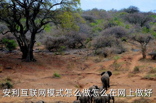 安利互聯網模式怎么做怎么在網上做好