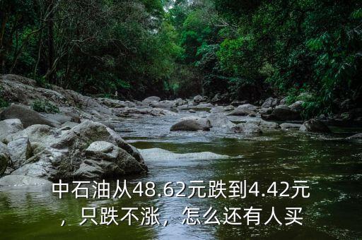 中石油股票為什么不漲,而中國(guó)石油的股票不漲