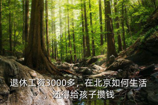 退休工資3000多，在北京如何生活，還得給孩子攢錢