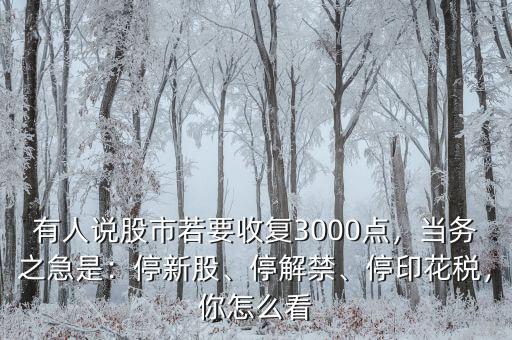 有人說股市若要收復3000點，當務之急是：停新股、停解禁、停印花稅，你怎么看