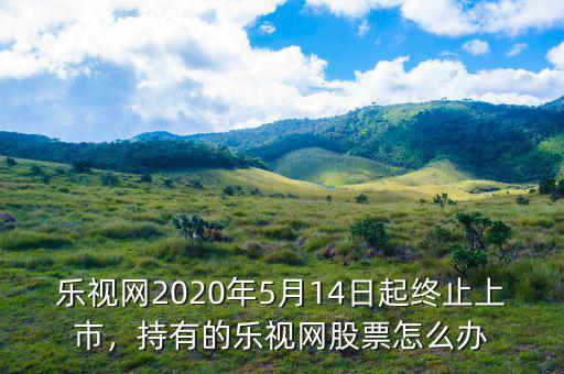 樂(lè)視網(wǎng)2020年5月14日起終止上市，持有的樂(lè)視網(wǎng)股票怎么辦