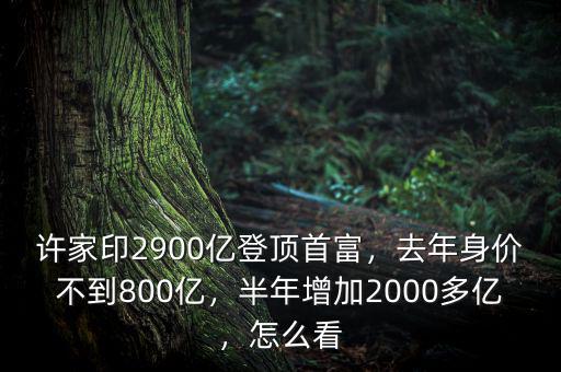 許家印2900億登頂首富，去年身價不到800億，半年增加2000多億，怎么看