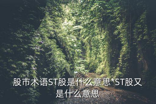 股市術(shù)語(yǔ)ST股是什么意思*ST股又是什么意思