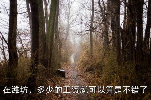 在濰坊，多少的工資就可以算是不錯了