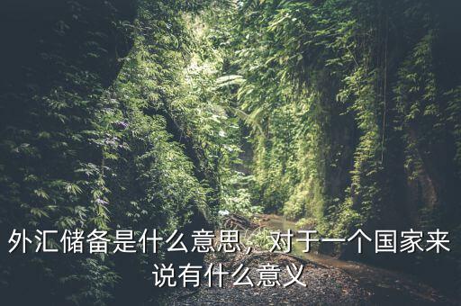 外匯儲(chǔ)備是什么意思，對(duì)于一個(gè)國(guó)家來(lái)說(shuō)有什么意義