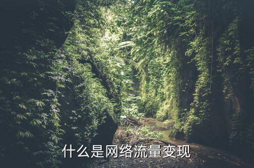 什么叫流量變現(xiàn),網(wǎng)站流量如何變現(xiàn)