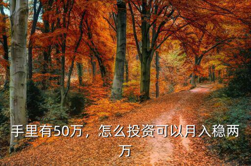 手里有50萬，怎么投資可以月入穩(wěn)兩萬