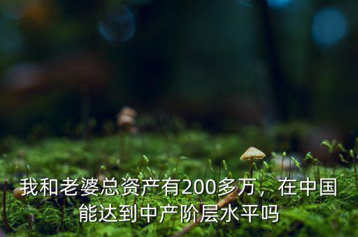 我和老婆總資產有200多萬，在中國能達到中產階層水平嗎