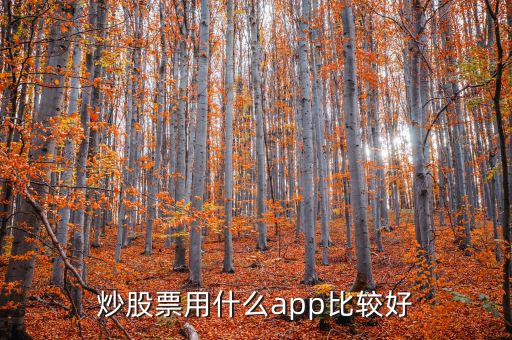 股票用什么軟件好,炒股票用什么app比較好