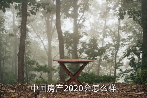 中國房產(chǎn)2020會(huì)怎么樣