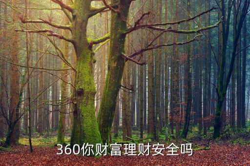 360你財富理財安全嗎