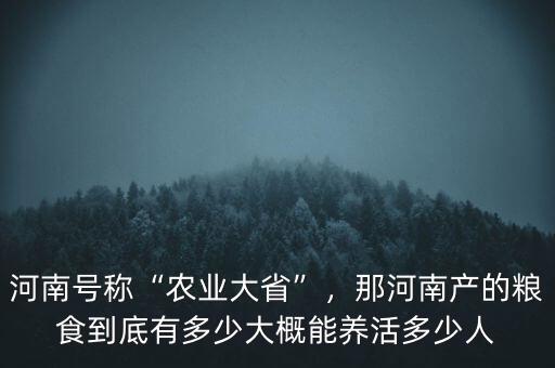 河南號(hào)稱“農(nóng)業(yè)大省”，那河南產(chǎn)的糧食到底有多少大概能養(yǎng)活多少人