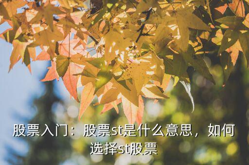 股票入門：股票st是什么意思，如何選擇st股票