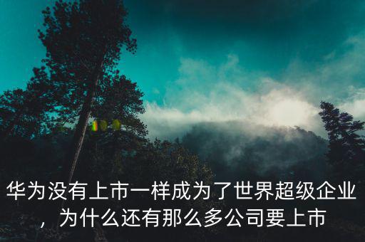 華為沒有上市一樣成為了世界超級企業(yè)，為什么還有那么多公司要上市