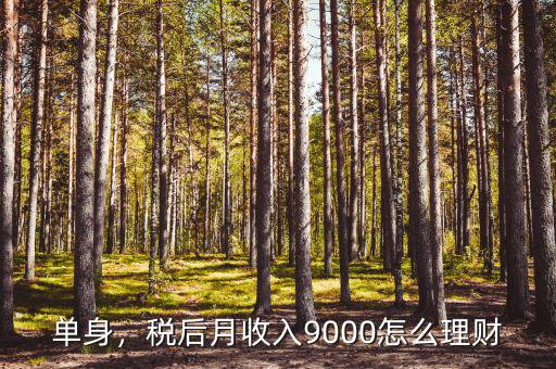 單身，稅后月收入9000怎么理財