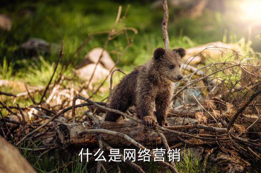 什么是網絡營銷