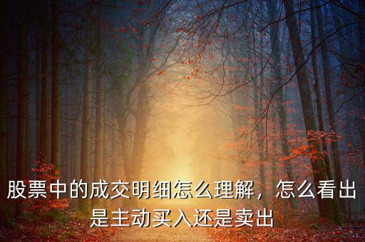 股票中的成交明細(xì)怎么理解，怎么看出是主動(dòng)買(mǎi)入還是賣(mài)出