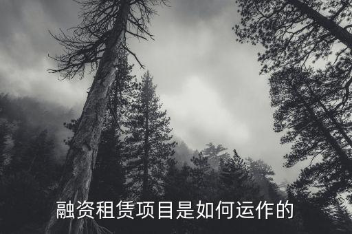 融資租賃項目是如何運(yùn)作的