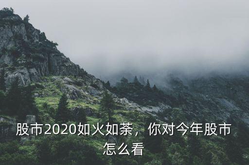 股市2020如火如荼，你對今年股市怎么看