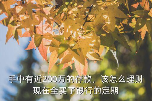 200萬存款怎么理財(cái),手里有300萬存款