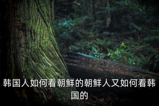 韓國的基礎(chǔ)設(shè)施怎么樣,真實(shí)的韓國生活是怎樣的