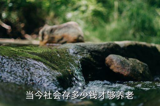 當(dāng)今社會(huì)存多少錢(qián)才夠養(yǎng)老