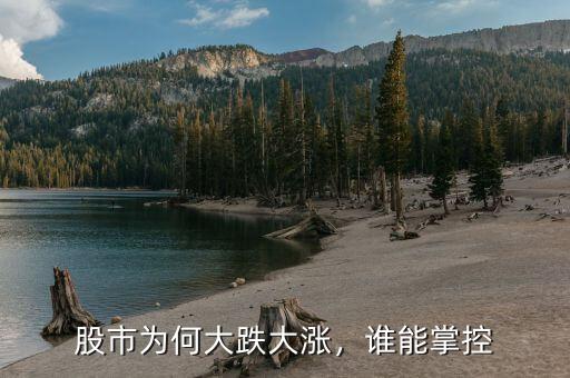 股市為何大跌大漲，誰能掌控