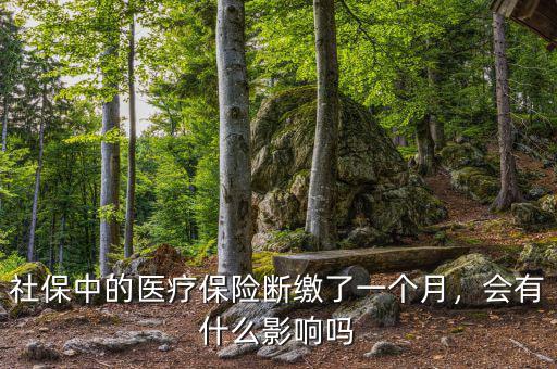 社保中的醫(yī)療保險(xiǎn)斷繳了一個(gè)月，會有什么影響嗎