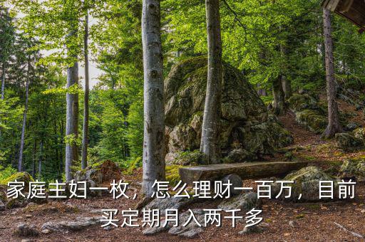 家庭主婦一枚，怎么理財一百萬，目前買定期月入兩千多