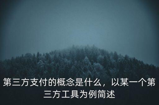 第三方支付的概念是什么，以某一個(gè)第三方工具為例簡(jiǎn)述