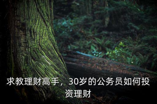 適合30歲怎么理財,30歲的公務員如何投資理財