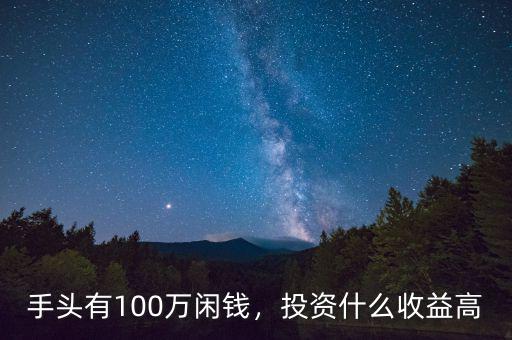 手頭有100萬閑錢，投資什么收益高