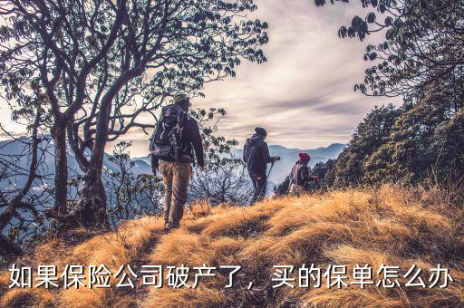 如果保險公司破產(chǎn)了，買的保單怎么辦