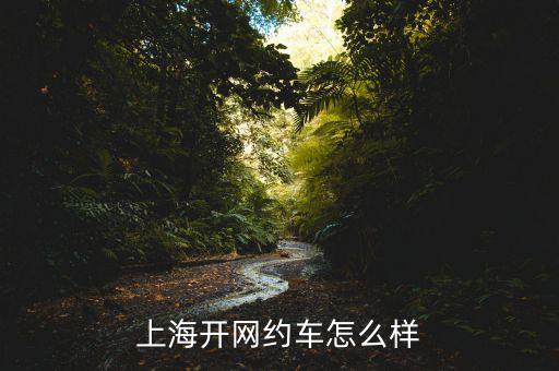 上海嘉懿怎么樣,上海開網(wǎng)約車怎么樣