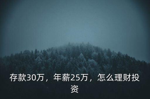 存款30萬，年薪25萬，怎么理財投資