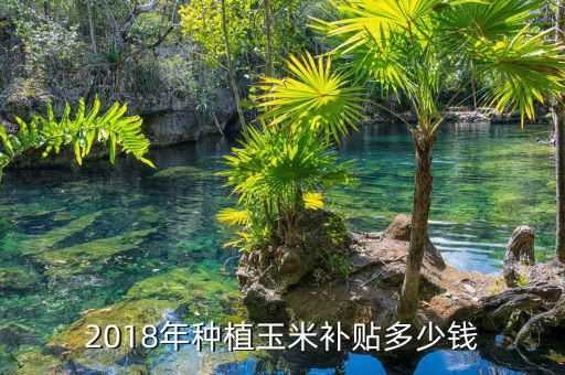 2018年種植玉米補貼多少錢