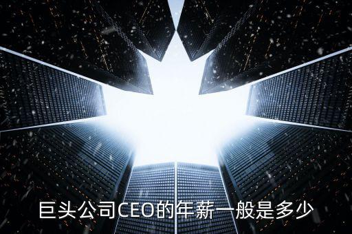 巨頭公司CEO的年薪一般是多少