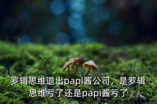 羅輯思維退出papi醬公司，是羅輯思維虧了還是papi醬虧了