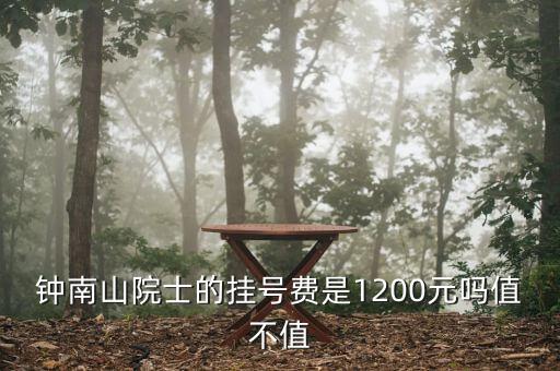 鐘南山院士的掛號費(fèi)是1200元嗎值不值